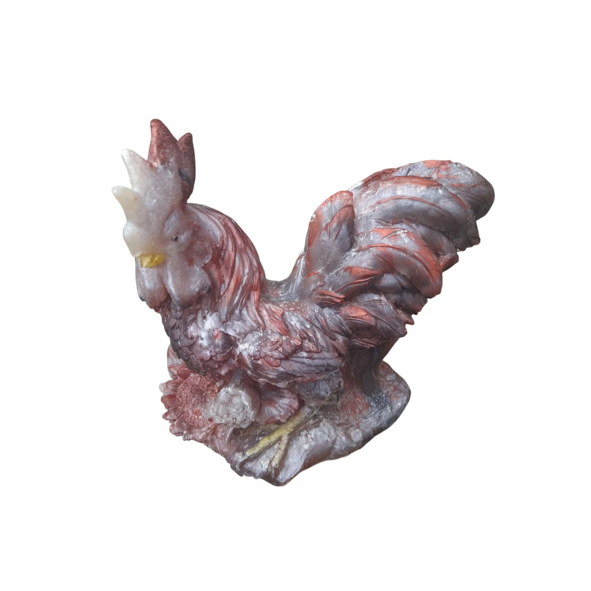 Coq rustique Epo'spes